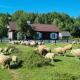 Podlaski Zakątek, Bereżyszcze (zdjęcie 2)