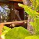 Amami Beachfront Villa with Private Beach, Puerto Galera (fotografie 2)