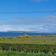 Saltwater Cottage, Dunseverick (fotografie 9)