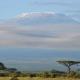 Randa Cottages Moshi, Kirua (fotografie 5)
