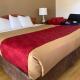 Garden Inn & Suites Oakland Airport, Окленд (фото 5)