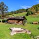 Oberaschenauer-Hof inkl. Chiemgaukarte, Ruhpolding - Foto 2