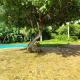 Ancha's Oasis, Maputo (photo 2)
