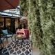 The Cypress Villa & Vineyard II, Sremska Kamenica (foto 7)