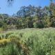 The Lavender Patch Mundaring - Photo 8