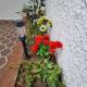 Lovely house with garden, Martil (fotografie 2)