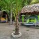 Eco-Camping El Frutal Isla Grande - Foto 10