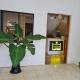Hotel Pressie by SMS Hospitality, Panglao (photo 8)