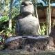 Hare Henua Boutique, Hanga Roa (fotografie 4)