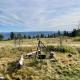 Sollia, Lifjell - 写真 5