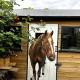A beautiful and welcoming home and garden, Londýn - Fotografie 5