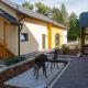 Pension Haus am Picho, Arnsdorf - Foto 3