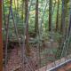 Enchanted Evergreen, Coffeyville (fotografie 9)