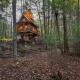 Enchanted Evergreen, Coffeyville (fotografie 2)