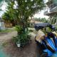 Bohol-Simple and Elegant Suite, Tagbilaran (photo 4)