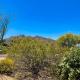 Tranquil Trail #6, Carefree (foto 2)