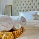 Luxury Studio w/ BoHo Design and Balcony for 4 Pax, Dubaj - Fotografie 6