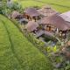 Arapan Ubud Eco Villa - Photo 4