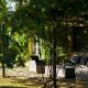 Villa with private pool - Chianti area, Pergine Valdarno (foto 4)