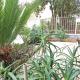 Cav-Chez Tina, Sanremo (foto 10)
