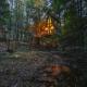 Peaceful Pines Treehouse, Lucinda - Fotografie 7
