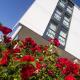iQ-Hotel Ulm, Ulm - Foto 9