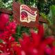 TropicalArts Resort&Studios, Bocas del Toro - Foto 6