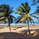 Amazing location, close to everything, 7 minutes airport and isla verde beach, Carolina (foto 2)