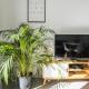 Luxury apartment with free parking, Ostende (fotografie 9)