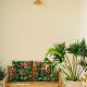 Phòng Măng Cụt (Mangosteen room) - Nhà Mơ Homestay Bến Tre, Ben Tre (foto 9)