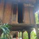 CLOVE GARDEN, Gitgit (photo 4)