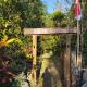 CLOVE GARDEN, Gitgit (photo 5)