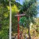 CLOVE GARDEN, Gitgit (photo 9)