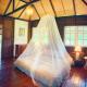 La Maison - Chiangmai, Mae Taeng (fotografie 10)