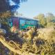 eco bus