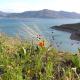 The Blue Cove, Hemet (fotografie 2)
