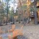 Double Decker at White Mountain Pinetop-Lakeside - Foto 7