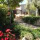 SCAPPO IN UMBRIA, la casa di Giuliana, Lugnano in Teverina (foto 6)