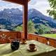 Ferienwohnung Bonderblick, Adelboden (zdjęcie 9)