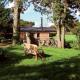 Cedarwood, an intimate and romantic cabin for two., Icklesham (фото 3)