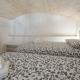 MarGa's House, Bari (photo 6)