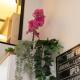 Clara - Modern Loft Sorbonne Notre-Dame Historic, Paris - Foto 6