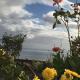 Sunflower Guest House - Madalena - Pico, São Caetano (zdjęcie 9)