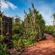 Grajagan Surf Resort, Ilha do Mel - Fotografie 9