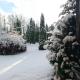 Forest Edge House, Riga (foto 4)