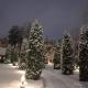 Forest Edge House, Riga (foto 5)