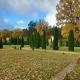 Forest Edge Lodge, Riga (foto 10)