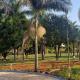 Chácara Encanto, dentro da cidade! São Lourenço-Mg, São Lourenço (zdjęcie 3)