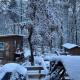 Beautiful & peaceful cabin w/ deck garden & fire-pit Murphy - Zdjęcie 6