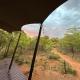 Out in Africa Wildlife Lodge Dinokeng Game Reserve - Foto 3